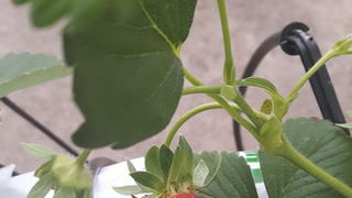 Trg Petra Zoranića: Učenici i profesori PPV Stanka Ožanića predstavili rezultate projekta “Primjena inovativnih metoda podučavanja i komunikacije sukladno smjernicama ruralnog razvoja”