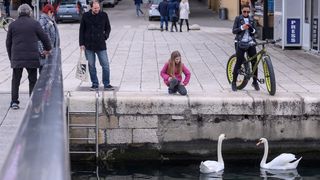 Labudovi pored mosta uveseljavaju Zadrane Labudovi pored mosta uveseljavaju Zadrane
