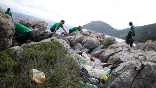 Mljet: Nasukana morska sirena Mljet: Nasukana morska sirena