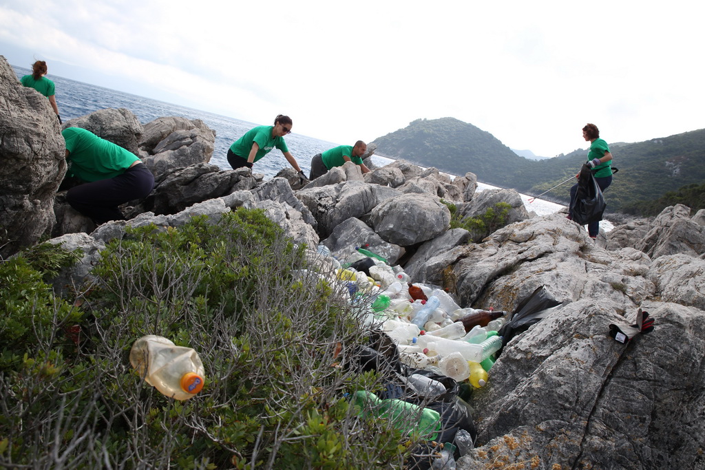 Mljet: Nasukana morska sirena Mljet: Nasukana morska sirena
