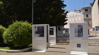 Izložba “Prijatelji mora” na pulskom Forumu, foto: Robi.B/hedonist385.com