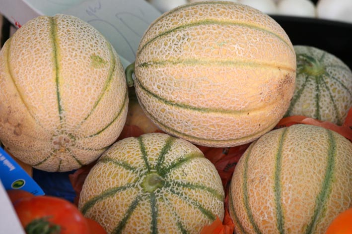 Image 1200497 (auto)