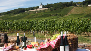 Putevima vinove loze: Top destinacije za ljubitelje vina