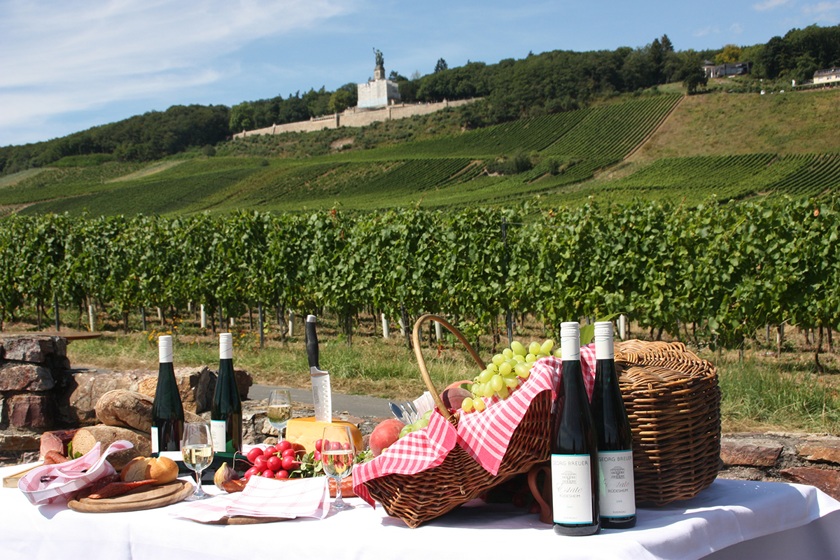 Putevima vinove loze: Top destinacije za ljubitelje vina