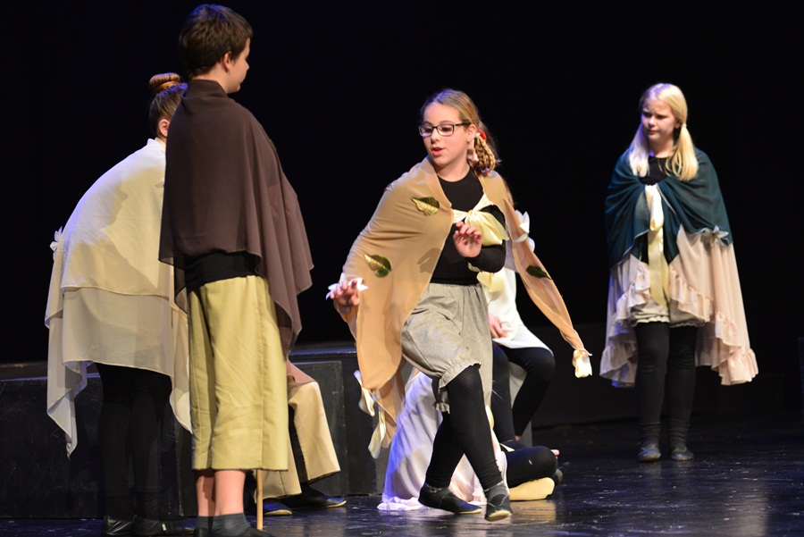 Premijera predstave “U sjeni” udruge “Igrajmo se” Premijera predstave “U sjeni” udruge “Igrajmo se”