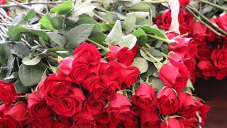 U Viru proslavljen Dan žena