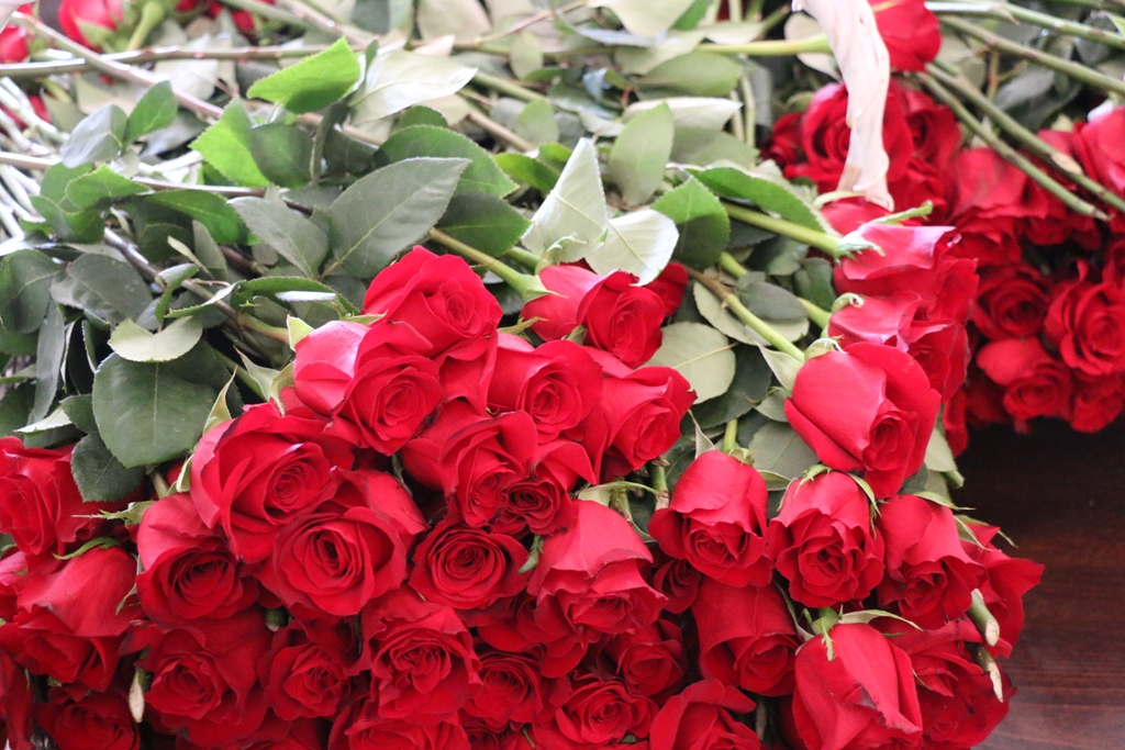 U Viru proslavljen Dan žena