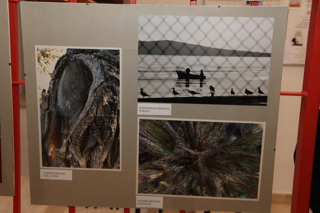 Otvorenje izložbe “Otočni fotografi”, foto: Iva Perinčić