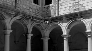 Image 1174835 (auto)