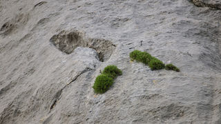 OLYMPUS DIGITAL CAMERA OLYMPUS DIGITAL CAMERA