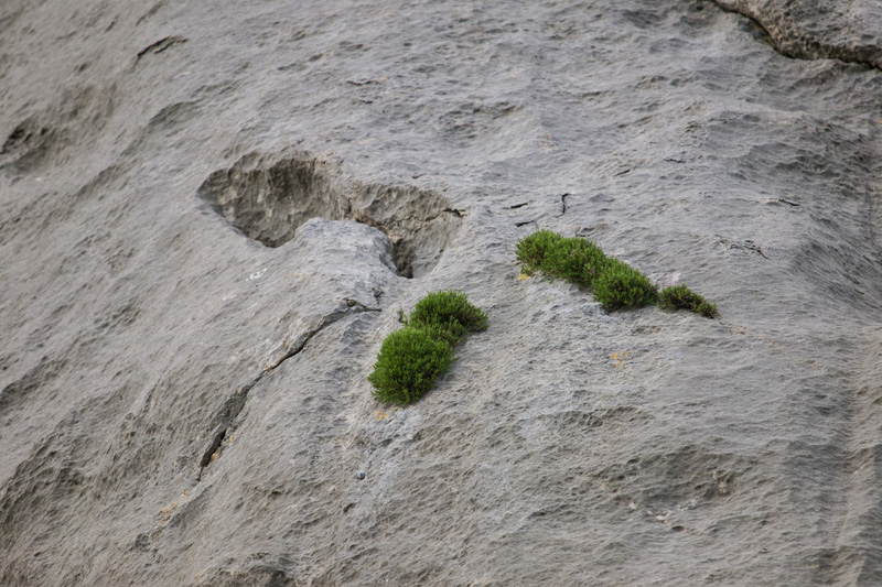 OLYMPUS DIGITAL CAMERA OLYMPUS DIGITAL CAMERA