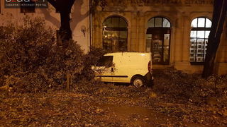 Jak vjetar srušio stablo na parkirane automobile kod OŠ Petar Preradović na Poluotoku