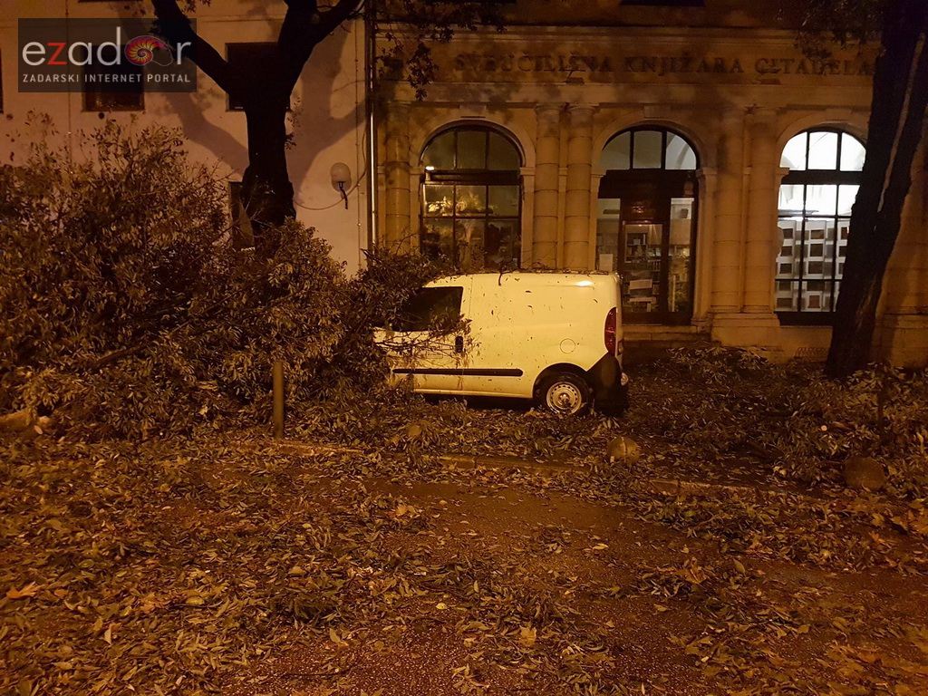 Jak vjetar srušio stablo na parkirane automobile kod OŠ Petar Preradović na Poluotoku