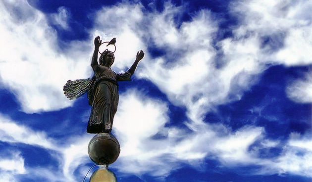 Cedo Kaica, Ptica pod zastitom