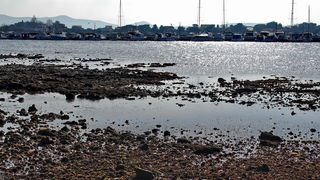 Zimska oseka u Sukošanu