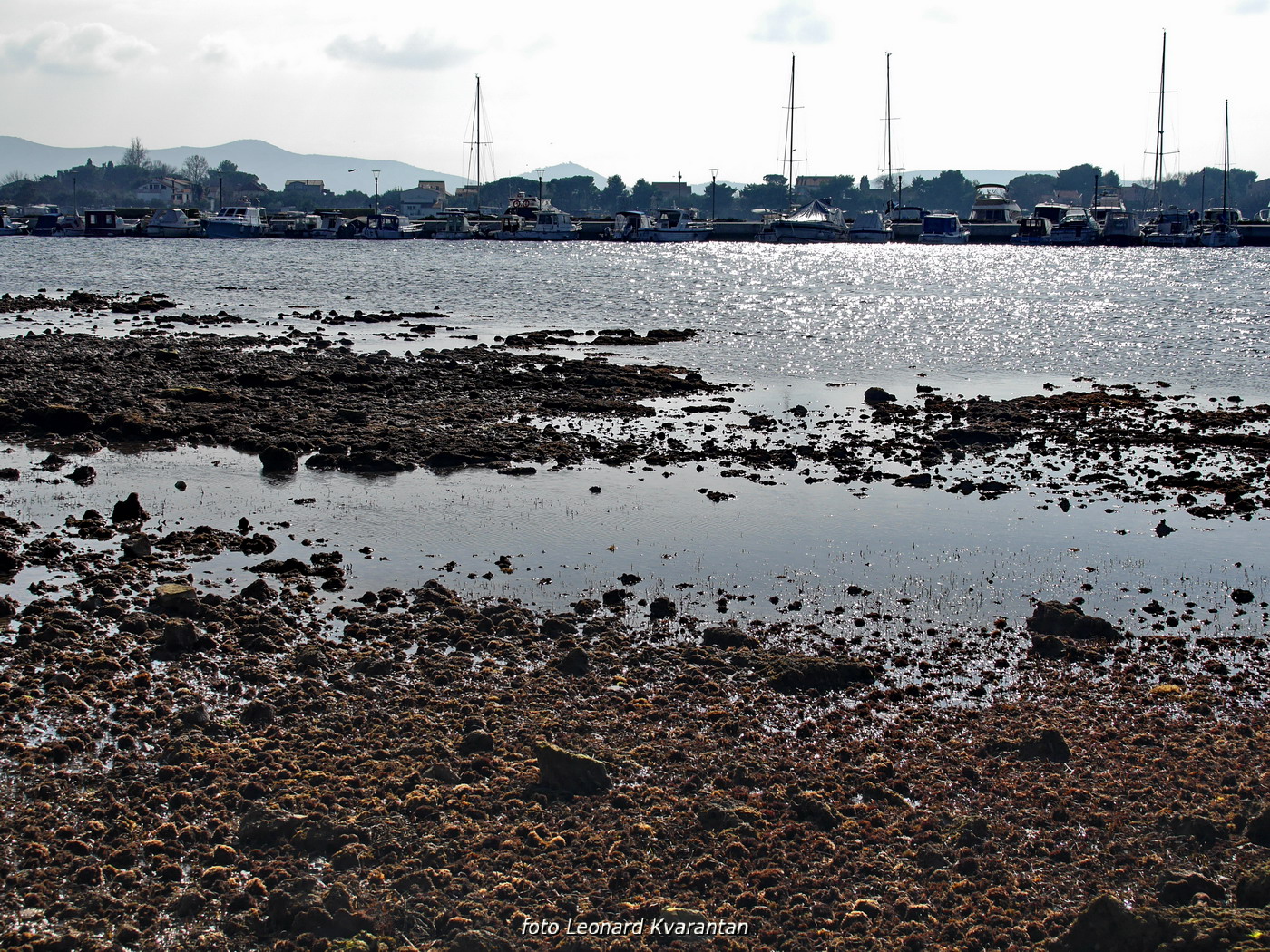 Zimska oseka u Sukošanu