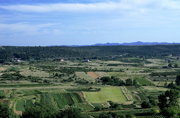 Krajolici zadarskog zaledja