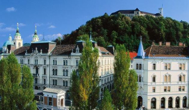 Image 1206405 (auto)