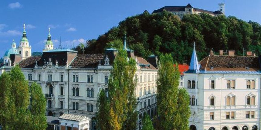 Image 1206405 (auto) Image 1206405 (auto)