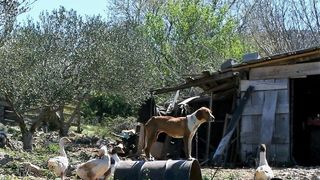 4. planinarski pohod “Hajdemo do Vrane” u organizaciji PD Belveder