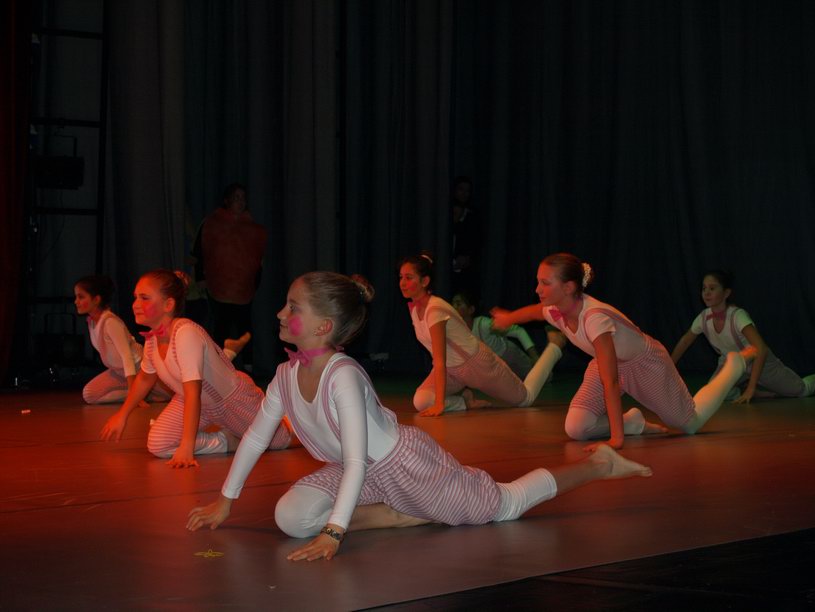 Plesno kazalisna udruga Zalet