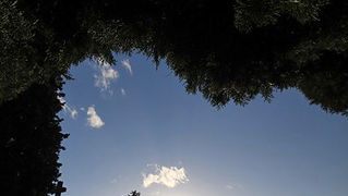 Blagdan Svih svetih (foto:Saša Čuka)