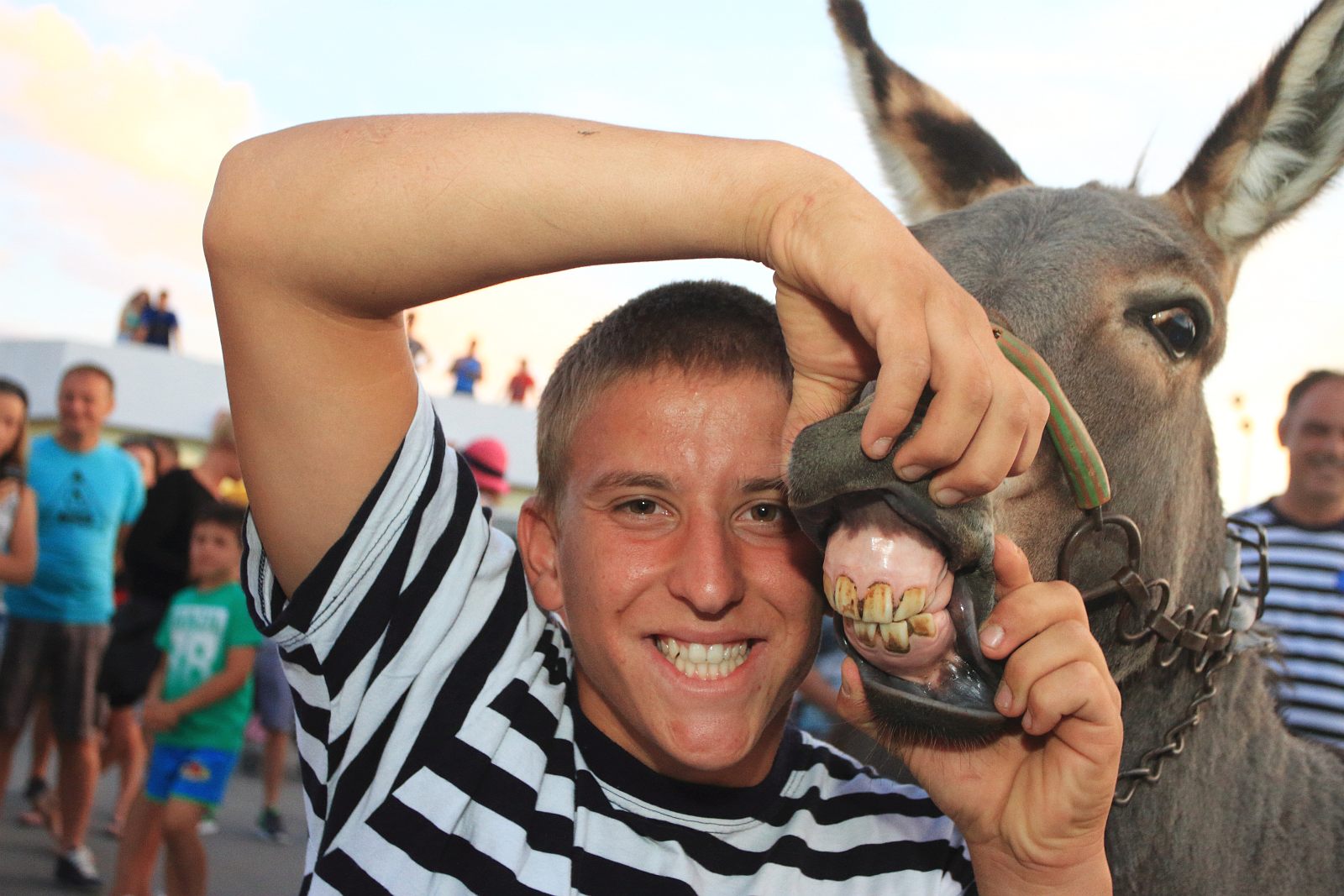 Trka Tovarov – 48. Memorijal Kenje Vijole Sukošan  Photo: Leo Banić