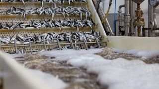 Predsjednik Milanović posjetio je tvrtku Mardešić u Salima