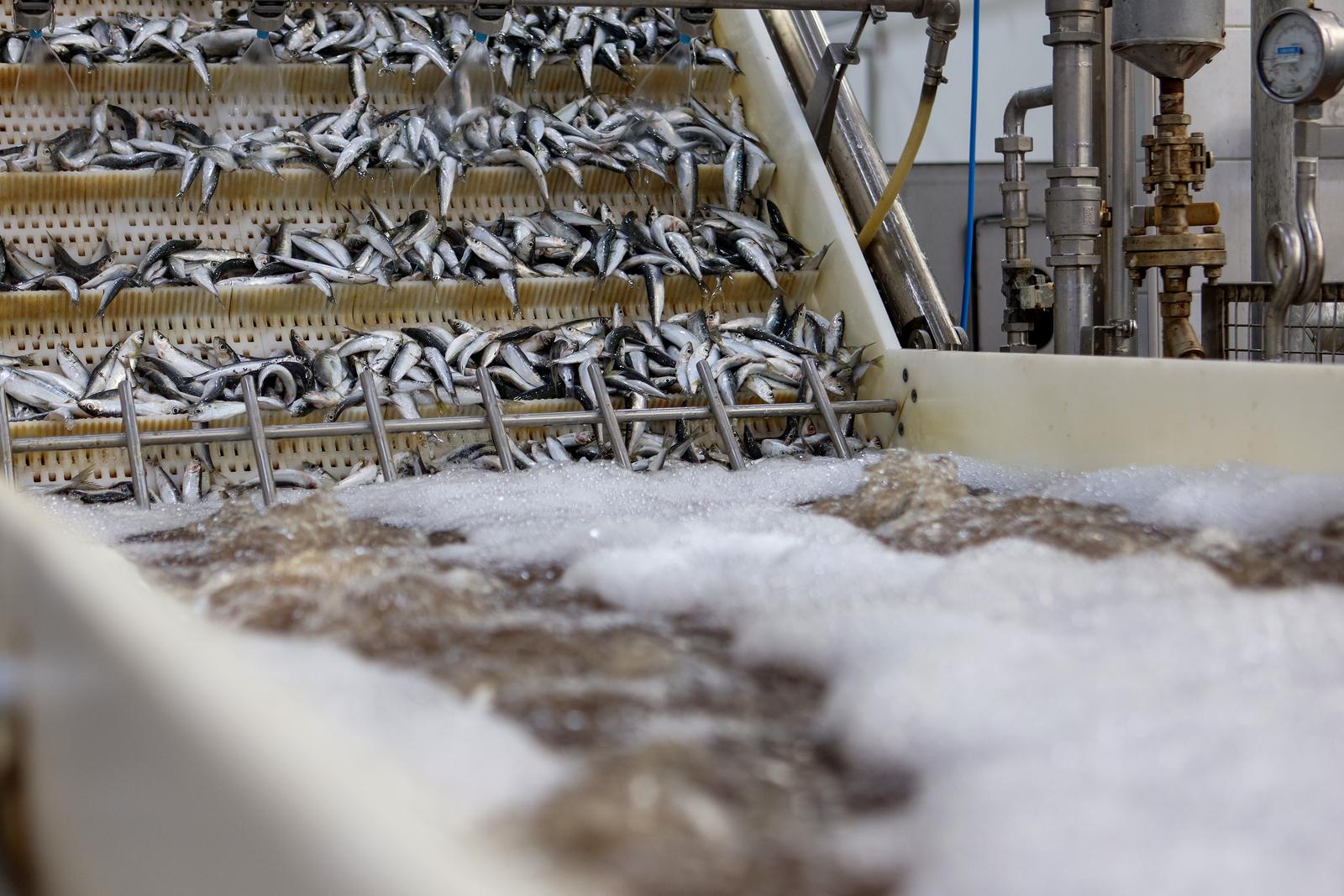 Predsjednik Milanović posjetio je tvrtku Mardešić u Salima