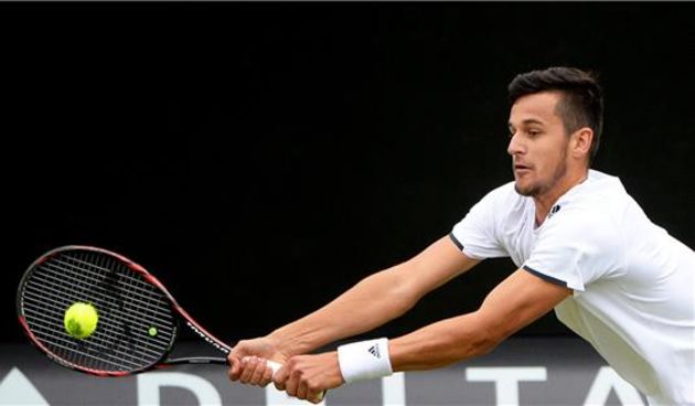 Mate Pavić, foto: FAH