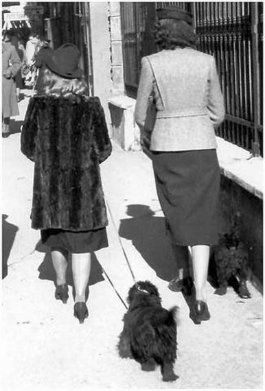 Image 1192783 (auto)