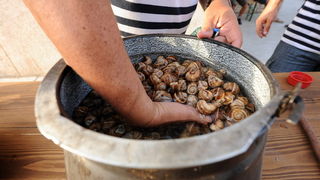 Benkovac, 300612.
Grad Benkovac i Turisticka zajednica Grada Benkovca po prvi puta su organizirali manifestaciju Benkovac, 300612.
Grad Benkovac i Turisticka zajednica Grada Benkovca po prvi puta su organizirali manifestaciju