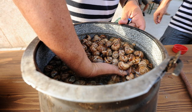 Benkovac, 300612.
Grad Benkovac i Turisticka zajednica Grada Benkovca po prvi puta su organizirali manifestaciju