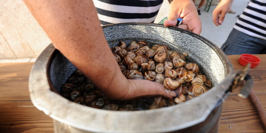 Benkovac, 300612.
Grad Benkovac i Turisticka zajednica Grada Benkovca po prvi puta su organizirali manifestaciju Benkovac, 300612.
Grad Benkovac i Turisticka zajednica Grada Benkovca po prvi puta su organizirali manifestaciju