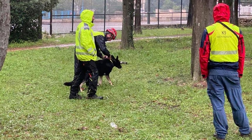 HGSS i Norveška udruga za obuku potražnih pasa održali trening K9 timova HGSS i Norveška udruga za obuku potražnih pasa održali trening K9 timova