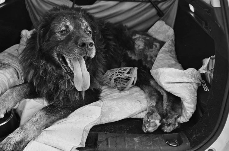 514418922_748277254396372_8793788351764653190_n