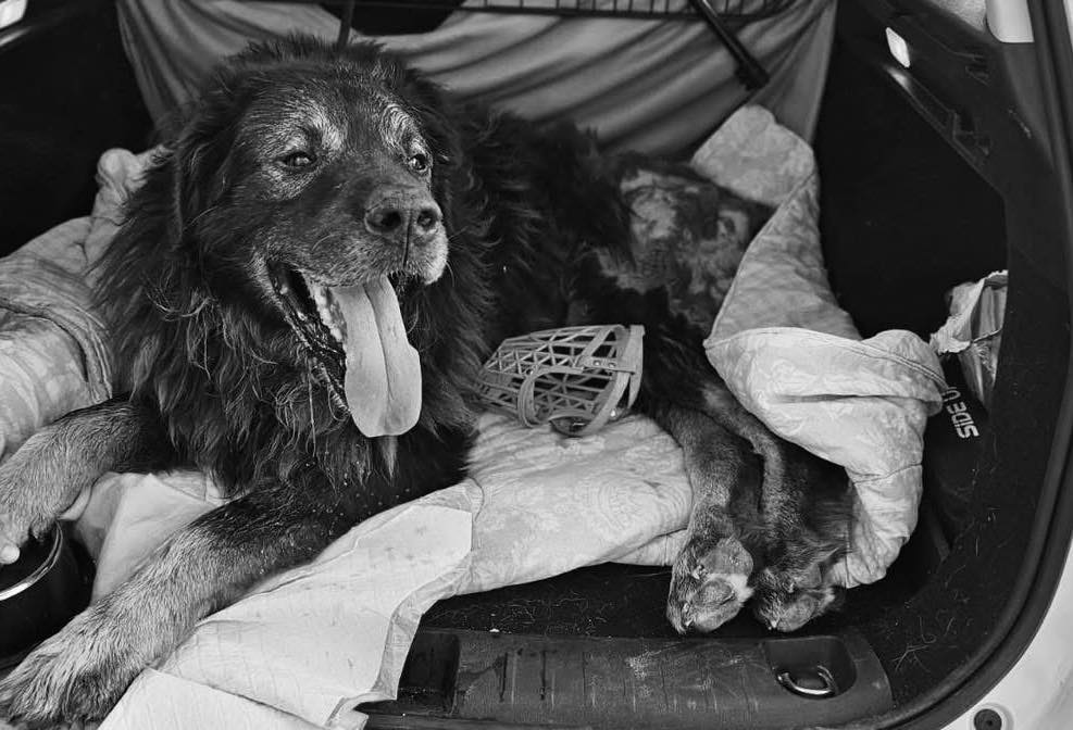 514418922_748277254396372_8793788351764653190_n