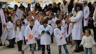 Virski karnevalić 2016. Virski karnevalić 2016.