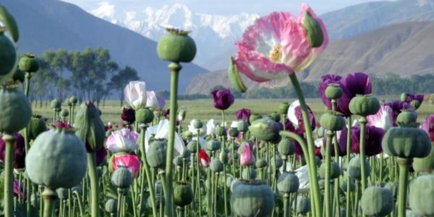 Afganistan Afganistan