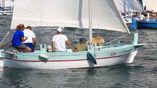 Betina: 16. Regata za dušu i tilo