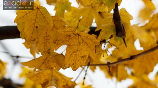 Đir po gradu, srijeda 13. prosinca 2017.