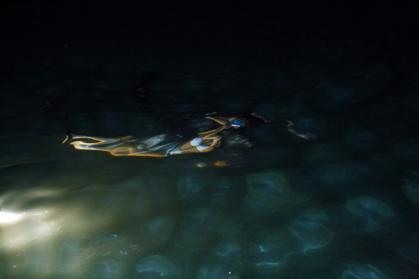 Biograd na Moru: 1. Morska alga 8. kolovoza 2009, Foto: Mladen Malik