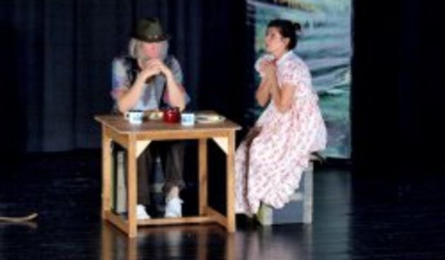 Heidi, Kazalište Merlin