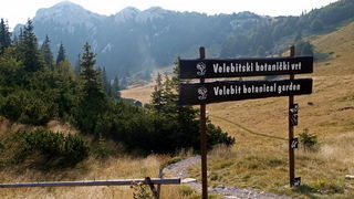 Nedjelja na Zavizanu