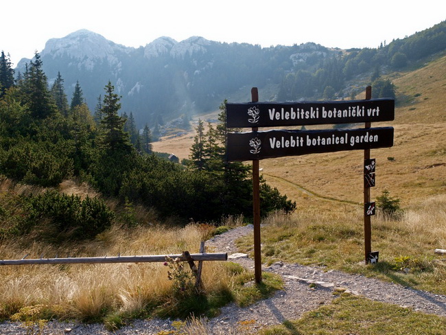 Nedjelja na Zavizanu