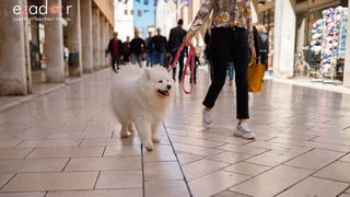 Đir po gradu, subotnja špica 23. ožujka 2019.