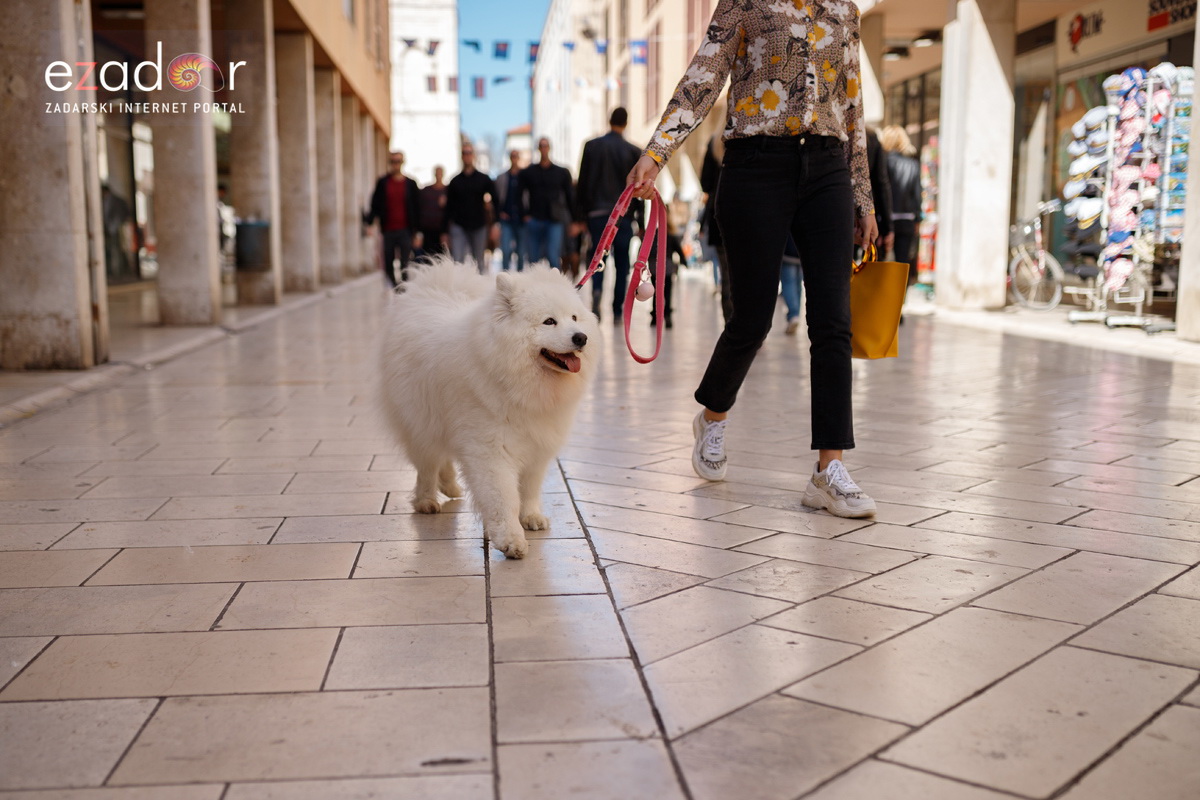 Đir po gradu, subotnja špica 23. ožujka 2019.
