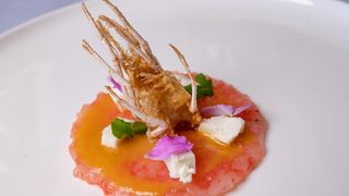 Elitno mjesto ribljih delicija – zadarski restoran Foša