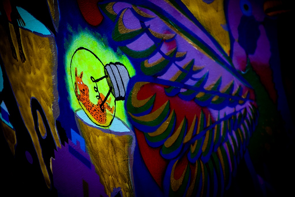 Subotnja šetnja najlipšom rivom i poluotokom. Foto: Iva Perinčić Subotnja šetnja najlipšom rivom i poluotokom. Foto: Iva Perinčić