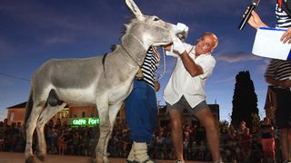 Trka Tovarov – 48. Memorijal Kenje Vijole Sukošan  Photo: Leo Banić